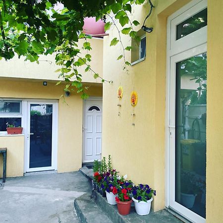 Summer Vibe - Apartament La Curte Konstanca Zewnętrze zdjęcie